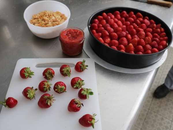 Erdbeertorte mit Frischkäse Erdbeeren aus Brandenburg