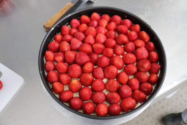 Erdbeertorte mit Frischkäse Erdbeeren aus Brandenburg